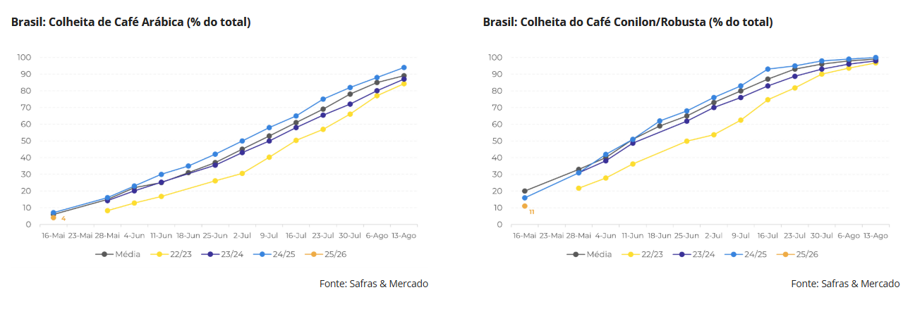 Gráfico

O conteúdo gerado por IA pode estar incorreto.