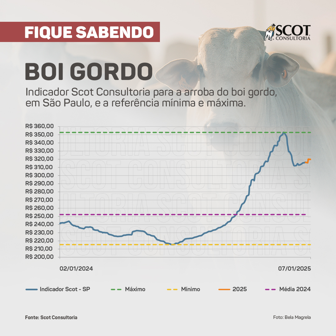 Fonte: Scot Consultoria