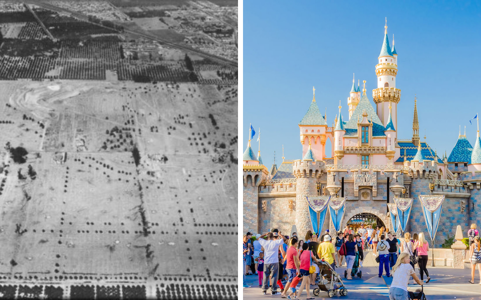 Lado esquerdo: o terreno do primeiro parque temático da Disney, criado há mais de 60 anos pelo cartunista e empresário Walt Disney (1901-1966). Lado direito: como o parque está hoje em Anaheim, na Califórnia.
