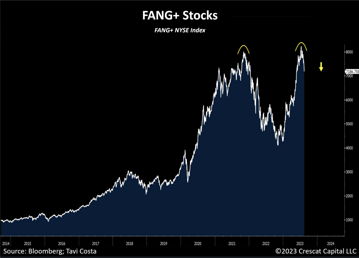 FANG + Mercado total mensal
