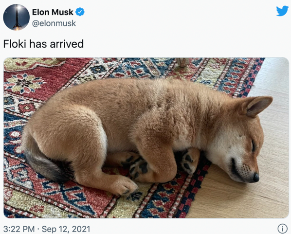 Tuíte de Elon Musk em 12 de setembro de 2021