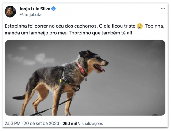 Dia ficou triste, diz Janja após morte da pet influencer Estopinha