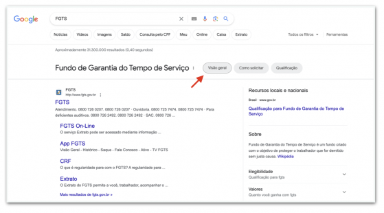 Google amplia ferramenta de busca para serviços do governo