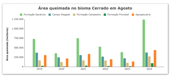 Fogo em savanas do Cerrado tem alta de 221% em agosto