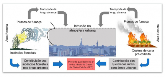 Queimadas aumentam excesso de CO2 em SP em mais de 1.000%