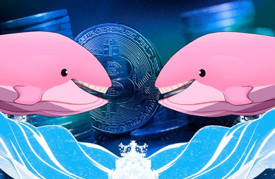 Baleias já retiraram mais de US$ 350 milhões com queda do Bitcoin